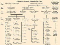 Family History Relationship Chart